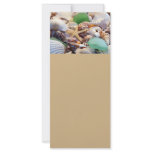 Seashells, Starfish &amp; Sea Glass Rack Cards