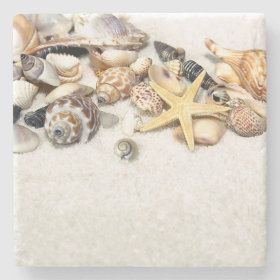 Seashells Stone Coaster