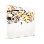 Seashells Stretched Canvas Print
