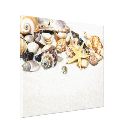Seashells Stretched Canvas Print