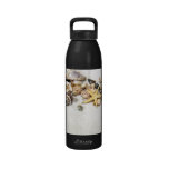 Seashells Water Bottle