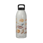 Seashells water bottles