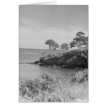 Seashore Greeting Card