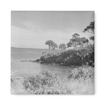 Seashore Refrigerator Magnet