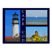 Seashore Scenes Post Card