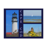 Seashore Scenes Post Card