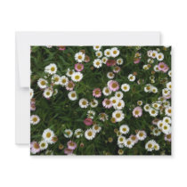 Seaside Daisies invitations by bittenbydesign Seaside Daisies invitations