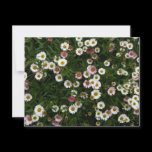 An outdoor shot of a bed of Seaside Daisies. Both pink and white variety growing together. Seaside Daisies Custom Invite