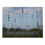ocean, seaside, dunes, landscapes, north, myrtle,