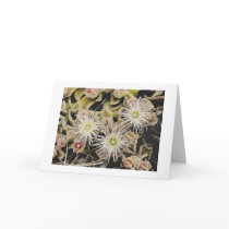Seaside Flowers cards