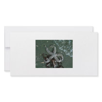 Seaside fun picture card