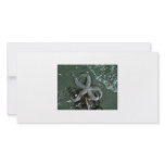 Seaside fun picture card