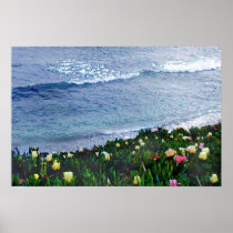 Seaside Ice Plants Print