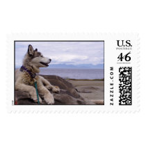 Seaside QuinnDog postage