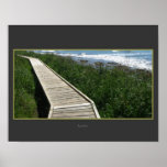 Seaside Walk, Kaikoura, New Zealand posters