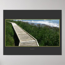 Seaside Walk, Kaikoura, New Zealand Posters