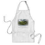 Season Ecclesiastes Lake Forest Crafts Cook Chef Aprons