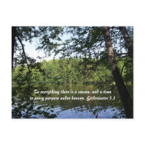 Season Ecclesiastes Lake Forest Postcards