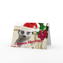 Season Greeting Meerkat cards