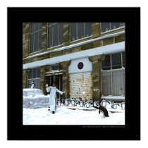 Season of the playful penguins posters