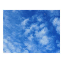 Seasonal Migration Postcard