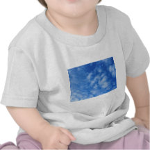 Seasonal Migration Tee Shirts