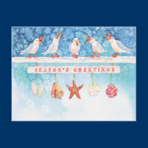 Seasonal Seagulls postcards