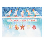 Seasonal Seagulls Postcards