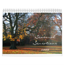 Seasonal Sensations 2009 Wall Calendars