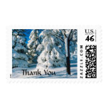 Seasonal Snow Scene Winter Wedding Thanks stamps