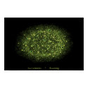 Seasoning posters