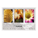 Seasons - Autumn