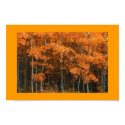 Seasons Change posters by renee869hello Seasons Change posters