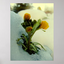 Seasons Collide Posters
