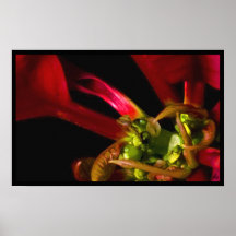 seasons:  flora series [autumn] print