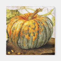 SEASON'S FRUITS  / PUMPKINS MAGNETS