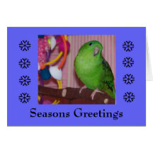 Seasons Greeting - Blank Card