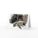 Season's Greeting Card