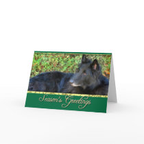 Season's greetings Belgian Shepherd card