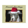 Season's Greetings blue pitbull puppy postcard