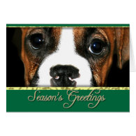 Season's greetings Boxer dog card