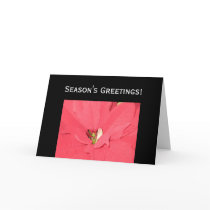 Season's Greetings Greeting Card
