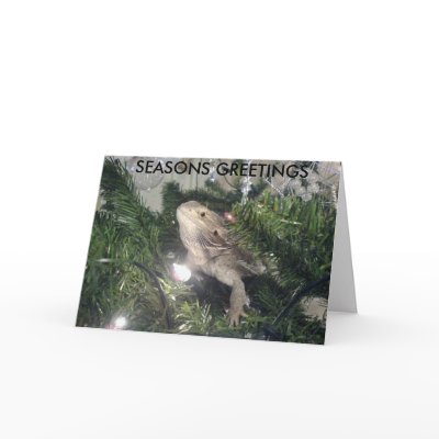 SEASONS GREETINGS CARD by gizmo2025