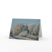 season's greetings cards by heysje season's greetings cards