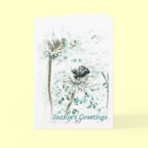 Season's Greetings cards by Woodswalker Season's Greetings cards