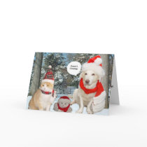 Season's Greetings cards by myrtieshuman Season's Greetings cards