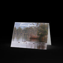 Season's Greetings cards