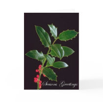 Seasons Greetings cards by colintonwigglys Seasons Greetings cards