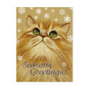 Seasons Greetings Cat & Snow - Postcard by gabycat Seasons Greetings Cat & Snow - Postcard