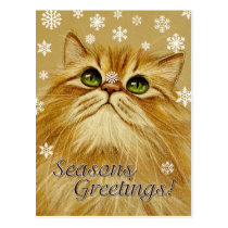 Seasons Greetings Cat & Snow - Postcard postcards